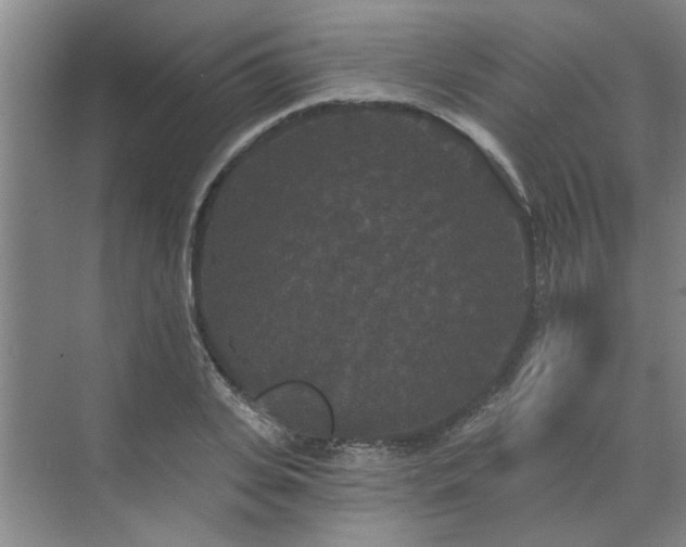 X0000070340935200606161247