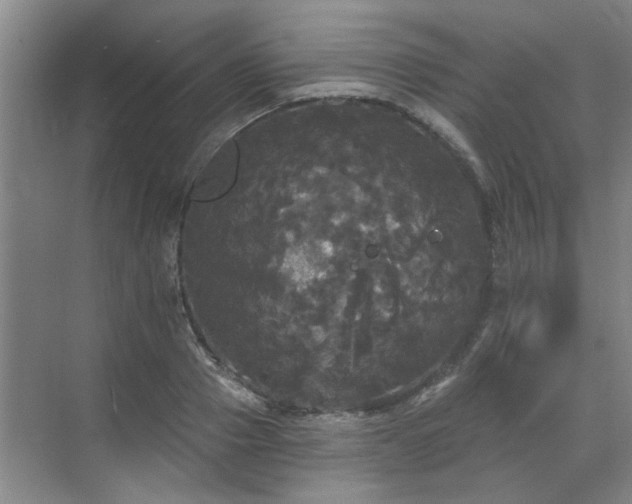 X0000070340937200606161247