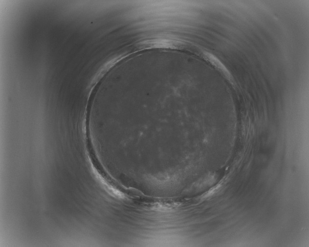 X0000070340938200606161247