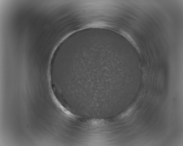 X0000070340939200606161247