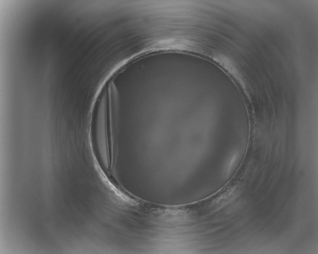 X0000070340941200606161247