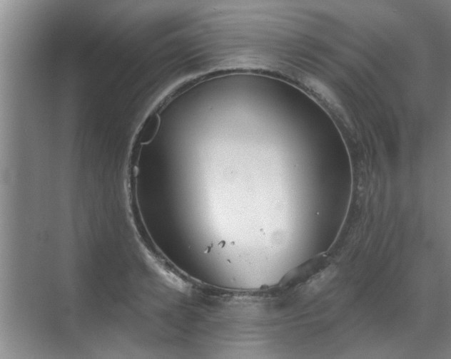 X0000070340942200606161247