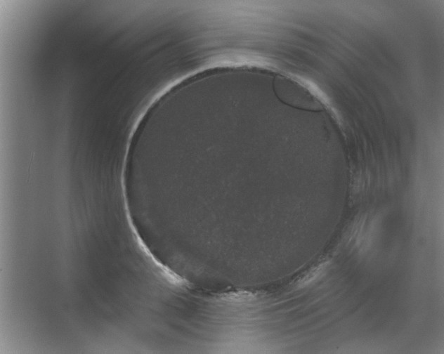 X0000070340943200606161247