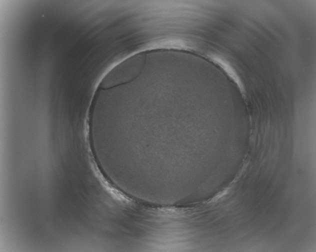 X0000070340944200606161247