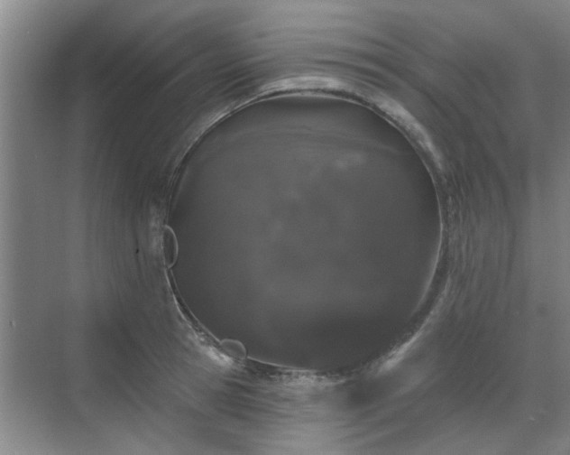 X0000070340945200606161247