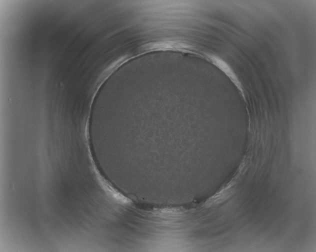 X0000070340946200606161247