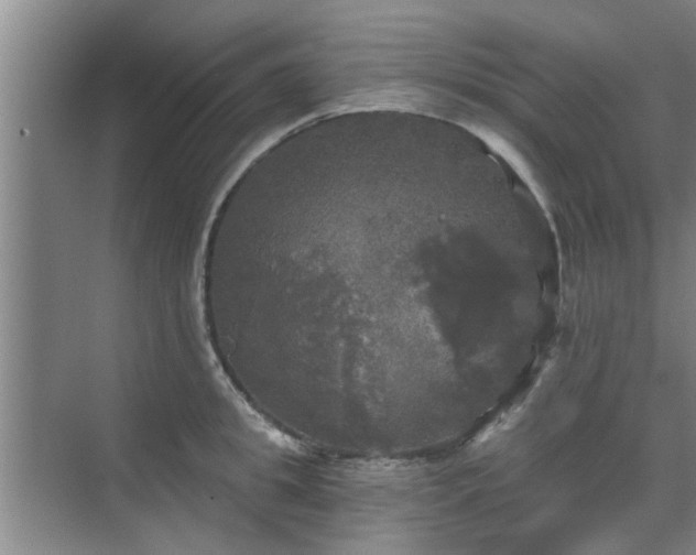 X0000070340949200606161247