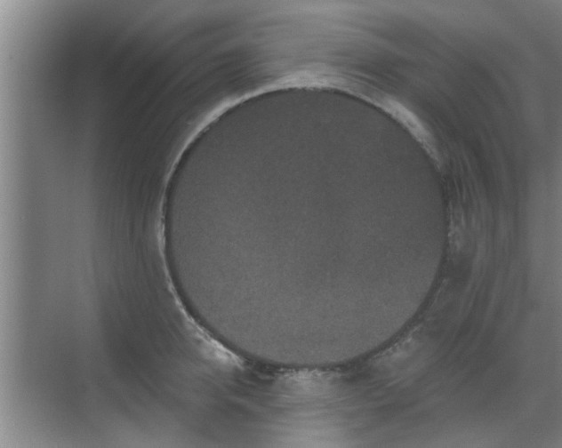 X0000070340950200606161247