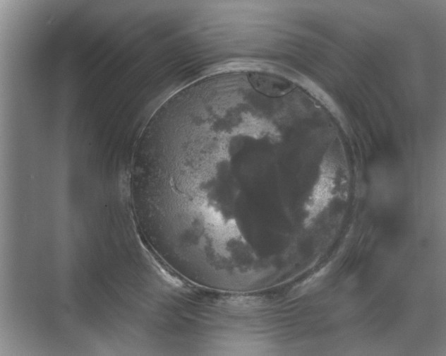 X0000070340953200606161247