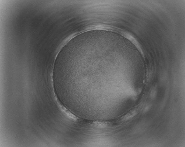 X0000070340954200606161247