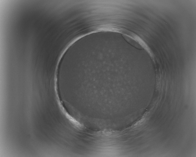 X0000070340955200606161247