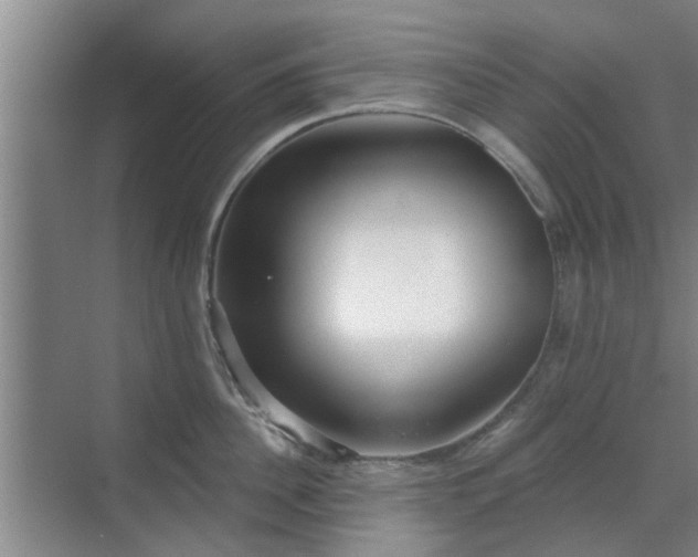 X0000070340956200606161247