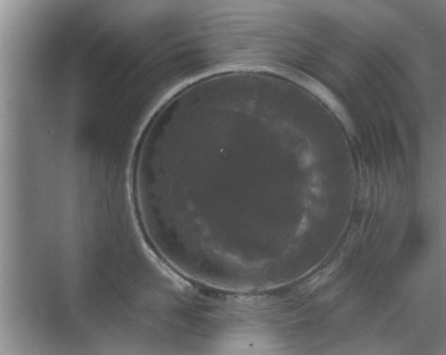 X0000070340958200606161247