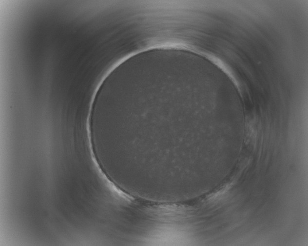 X0000070340959200606161247