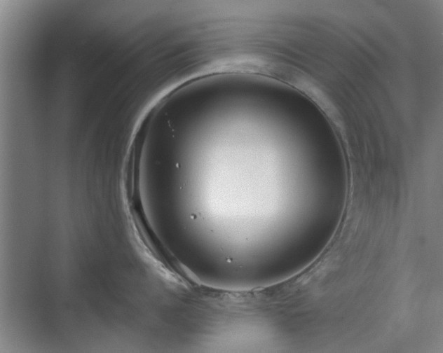 X0000070340960200606161247