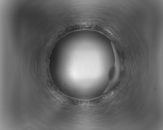 X0000070340961200606161246