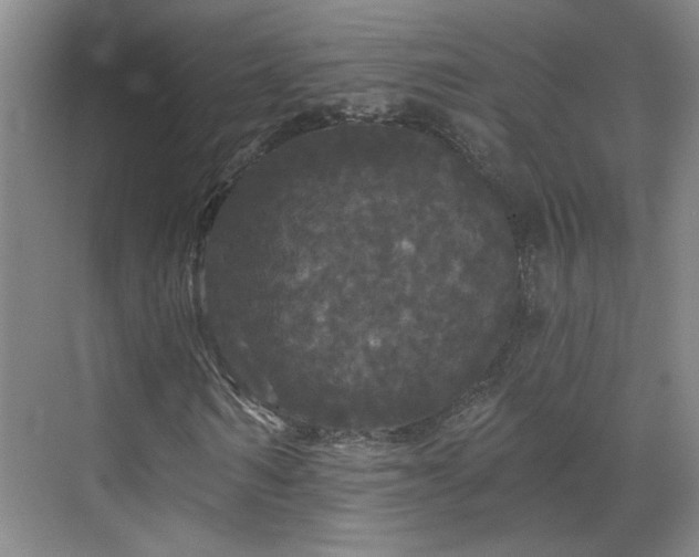 X0000070340962200606161246