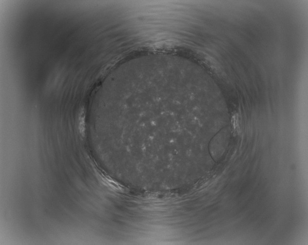 X0000070340963200606161246