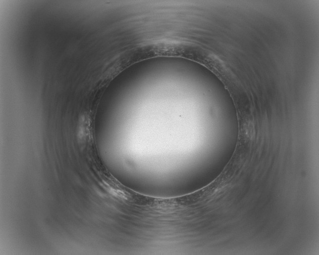 X0000070340964200606161246