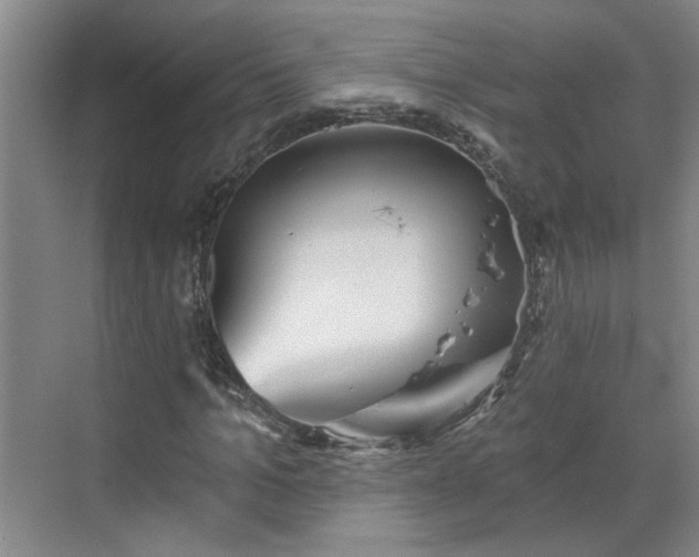 X0000070340965200606161246