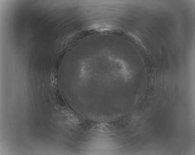 X0000070340966200606161246