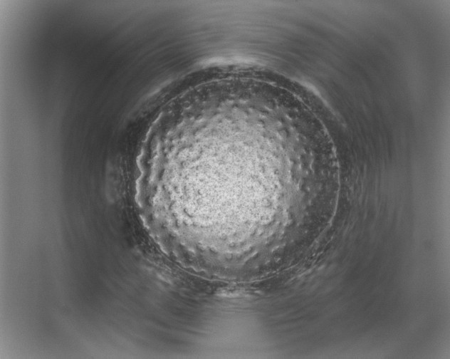 X0000070340967200606161246