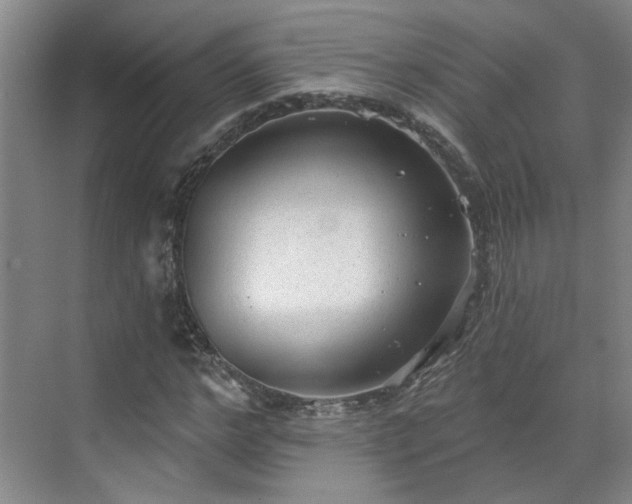 X0000070340968200606161246