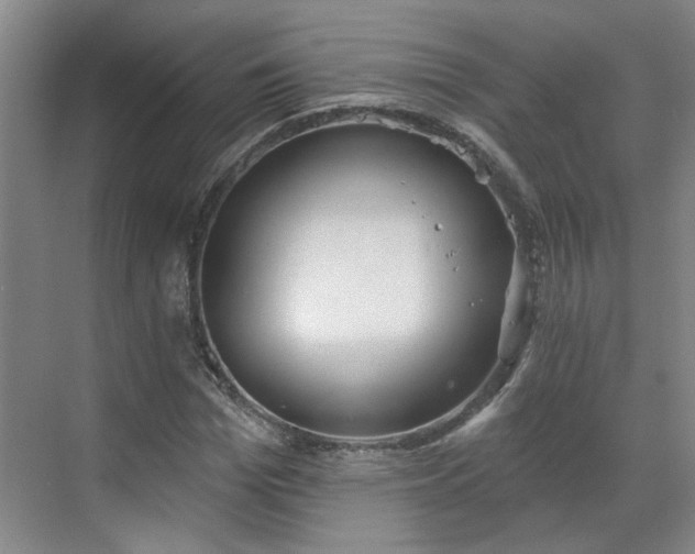 X0000070340969200606161246