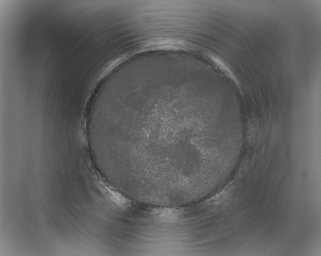 X0000070340970200606161246