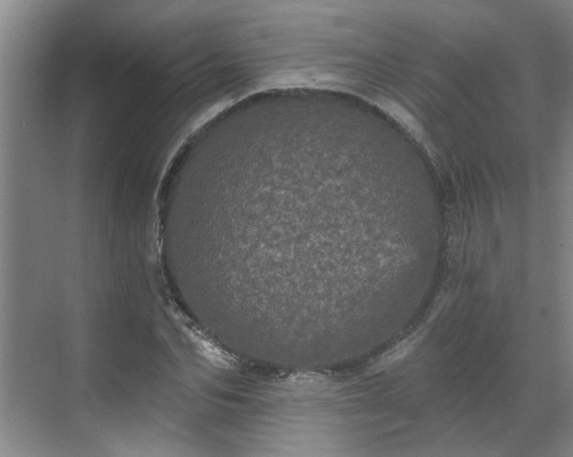 X0000070340974200606161246