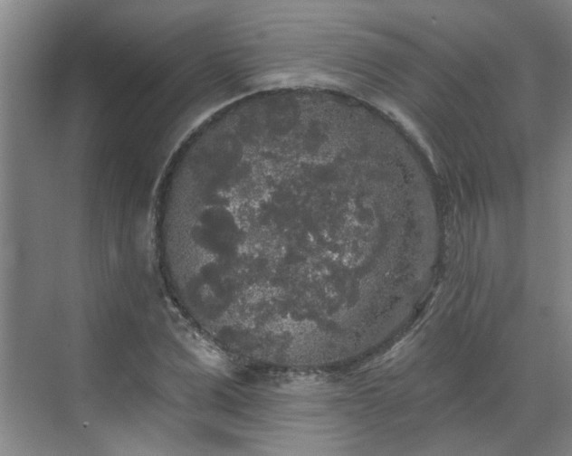 X0000070340975200606161246