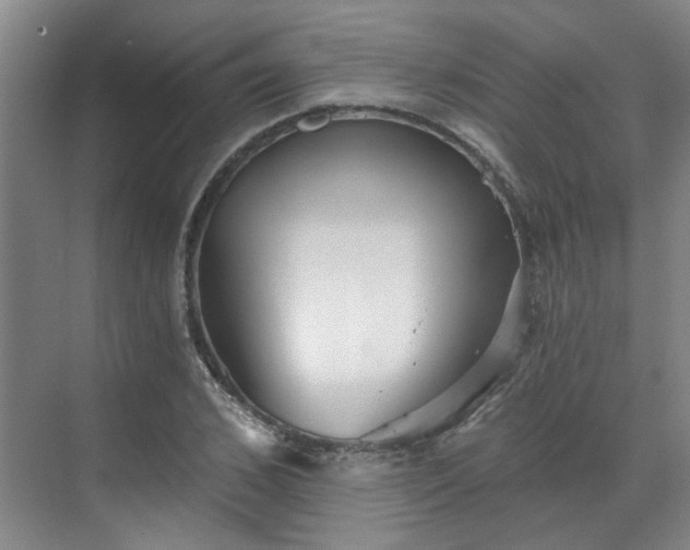 X0000070340976200606161246