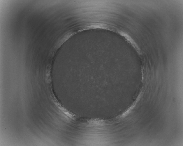 X0000070340977200606161246