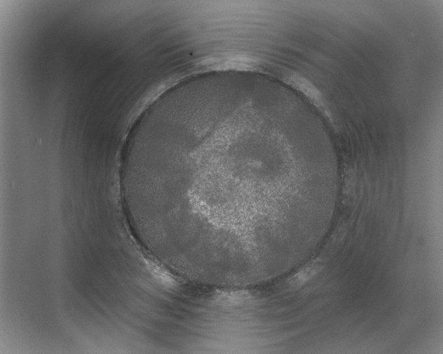 X0000070340978200606161246