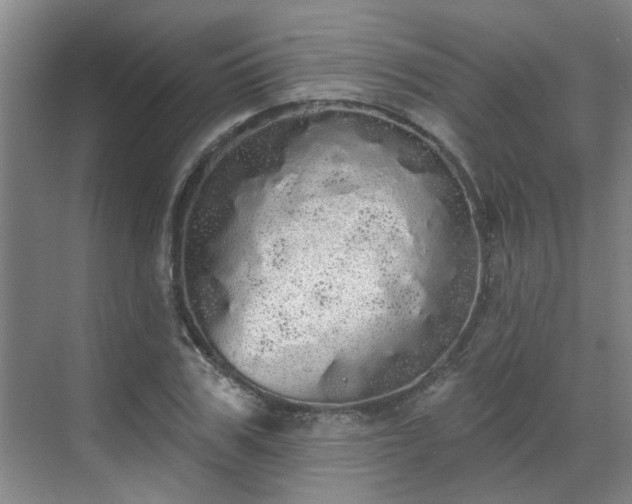 X0000070340979200606161246