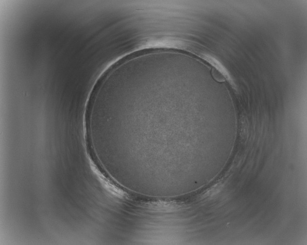 X0000070340980200606161246