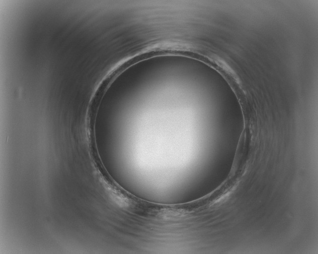 X0000070340981200606161246