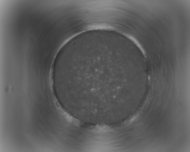 X0000070340983200606161246