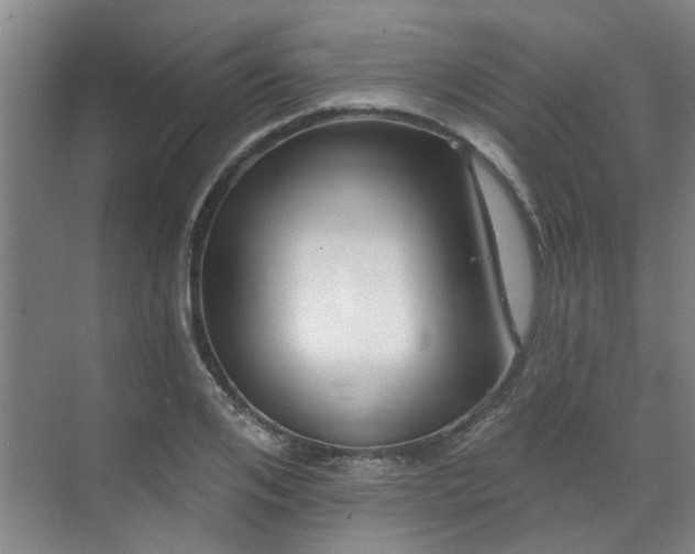 X0000070340984200606161246