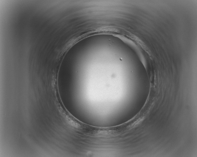 X0000070340985200606161246