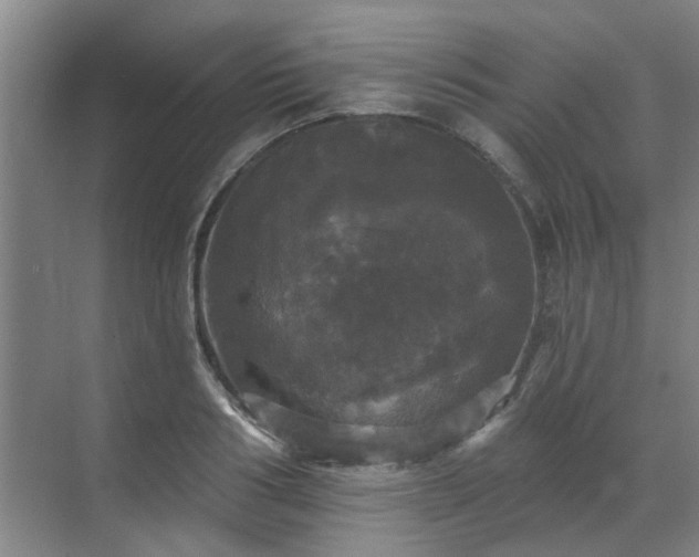 X0000070340986200606161246