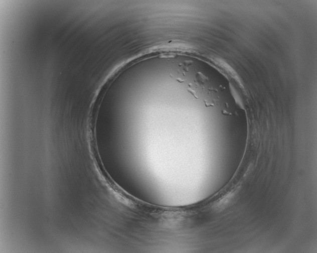 X0000070340989200606161246