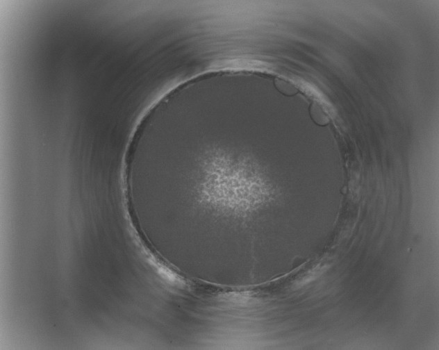 X0000070340990200606161246