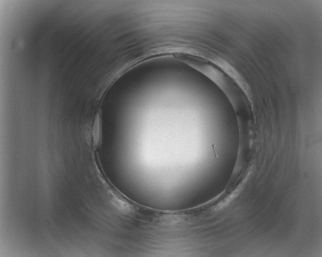 X0000070340993200606161246