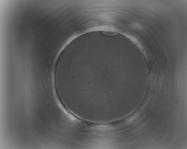 X0000070340998200606161246