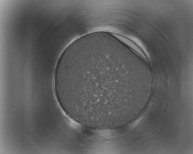 X0000070340999200606161246