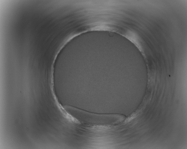 X0000070341000200606161246