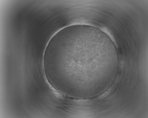 X0000070341004200606161246