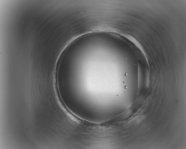 X0000070341005200606161246