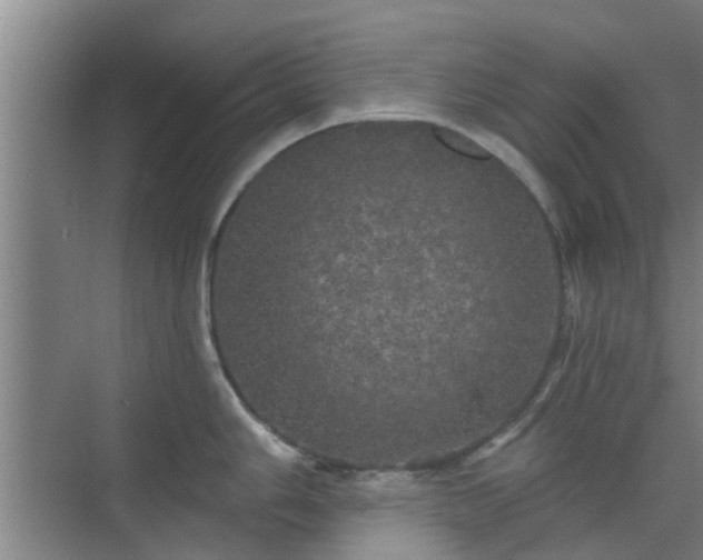 X0000070341006200606161246